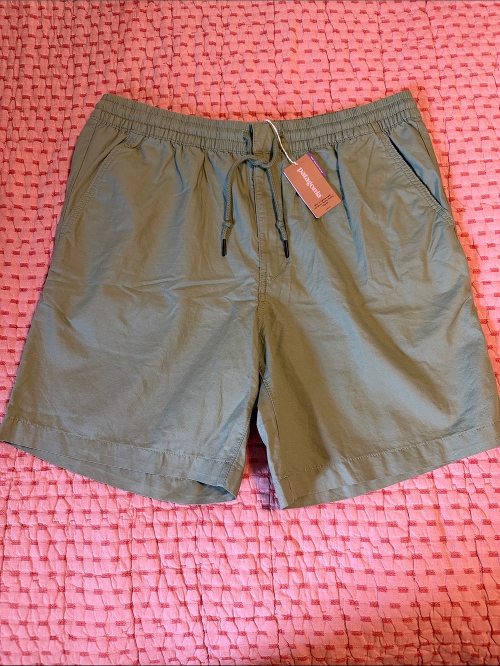 Patagonia Lightweight All-wear Hemp Volley Shorts